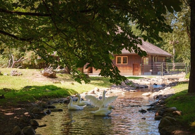 Tier Park Lange-Erlen